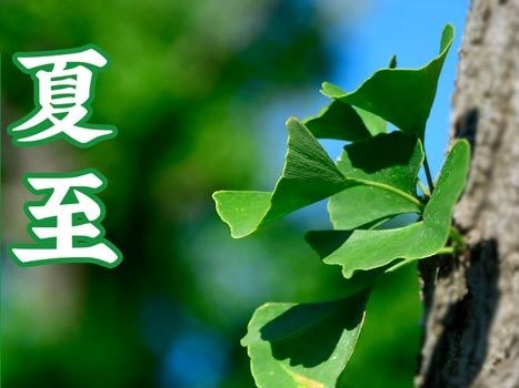 油煙凈化器，油煙凈化設(shè)備，油煙凈化機